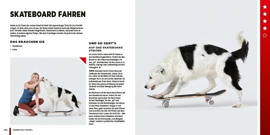 Super Dog Tricks: Hundetricks Step by Step von super einfach bis super schwierig. Bekannt aus America's Got Talent