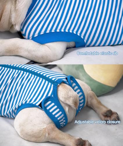 Image of Dog Blue Recovery Suit for X-Small Female Spay,Male Dog Surgery Suit,Narrow Blue-White XS