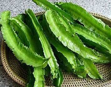50 Asian Heirloom Winged Bean Seed by Stonysoil Seed Company ...dau rang