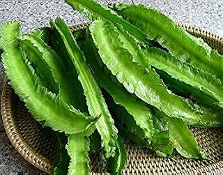 50 Asian Heirloom Winged Bean Seed by Stonysoil Seed Company ...dau rang