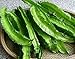 50 Asian Heirloom Winged Bean Seed by Stonysoil Seed Company ...dau rang