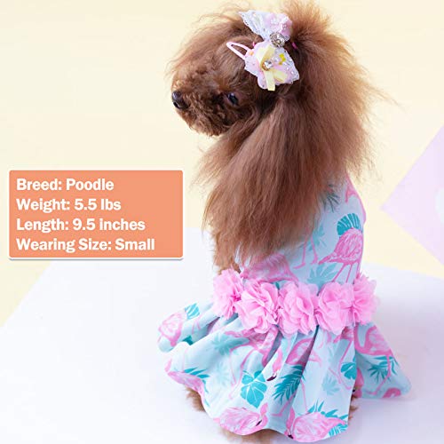 Kyeese Dog Dresses Flamingo With Flowers Decor Eelgant Princess Small Dog Dress Spring Summer #TOP2