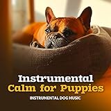 Man's Best Friend Records