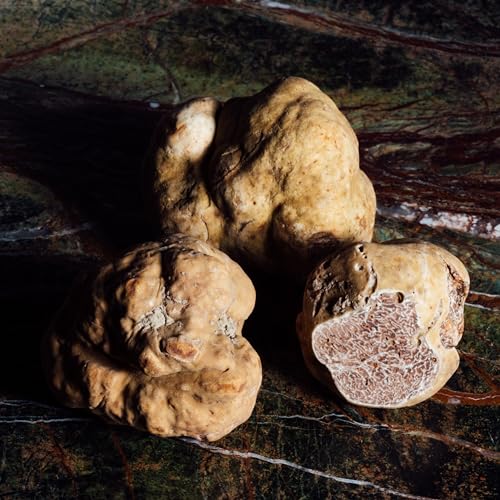 Valnerina Tartufi Weiße Trüffelsauce 160g | White Truffle Sauce | Creme auf der Basis von Weiß Trüffel, Schweinepilzen, Padano-Grana-Käse | Glas 160 gr.