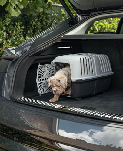 lionto Hundetransportbox aus robustem recyceltem Kunststoff, 48x31,5x33 cm, Transportbox mit praktischem Schließsystem & Tragegriff, auch geeignet für Katzen & Kleintiere, für Haustiere bis 15kg grau
