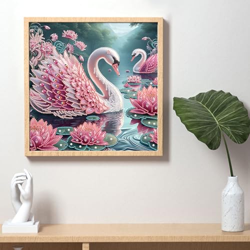 Image of AiYuanzsh 5D Special Shape Diamond Art Kits for Beginners, Diamond Painting Kits for Adults, Crystal Rhinestones Diamond Painting for Home Wall Decoration Gift 12x12 inch /30x30 cm, Beautiful Swan