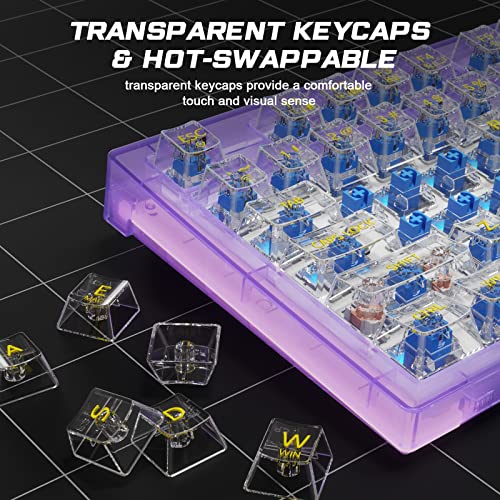 Aula Mechanical Gaming Keyboard, Wireless Rgb Gaming Keyboard With Transparent Keycaps, Support Hot Swappable And Programmable Macro Functionality, 2.4G & Bt5.0 & Usb-C, Blue Switch #TOP1