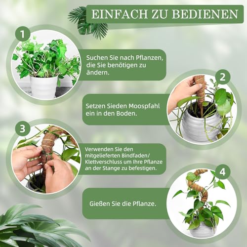 Aulese Podpórka do roślin pnących Monstera 75 cm, 2 sztuki prętów, wsparcie dla roślina pokojowych