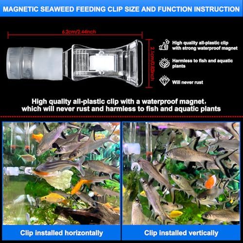 Magnetic Aquarium Veggie Clip for Saltwater Fish - 2pcs