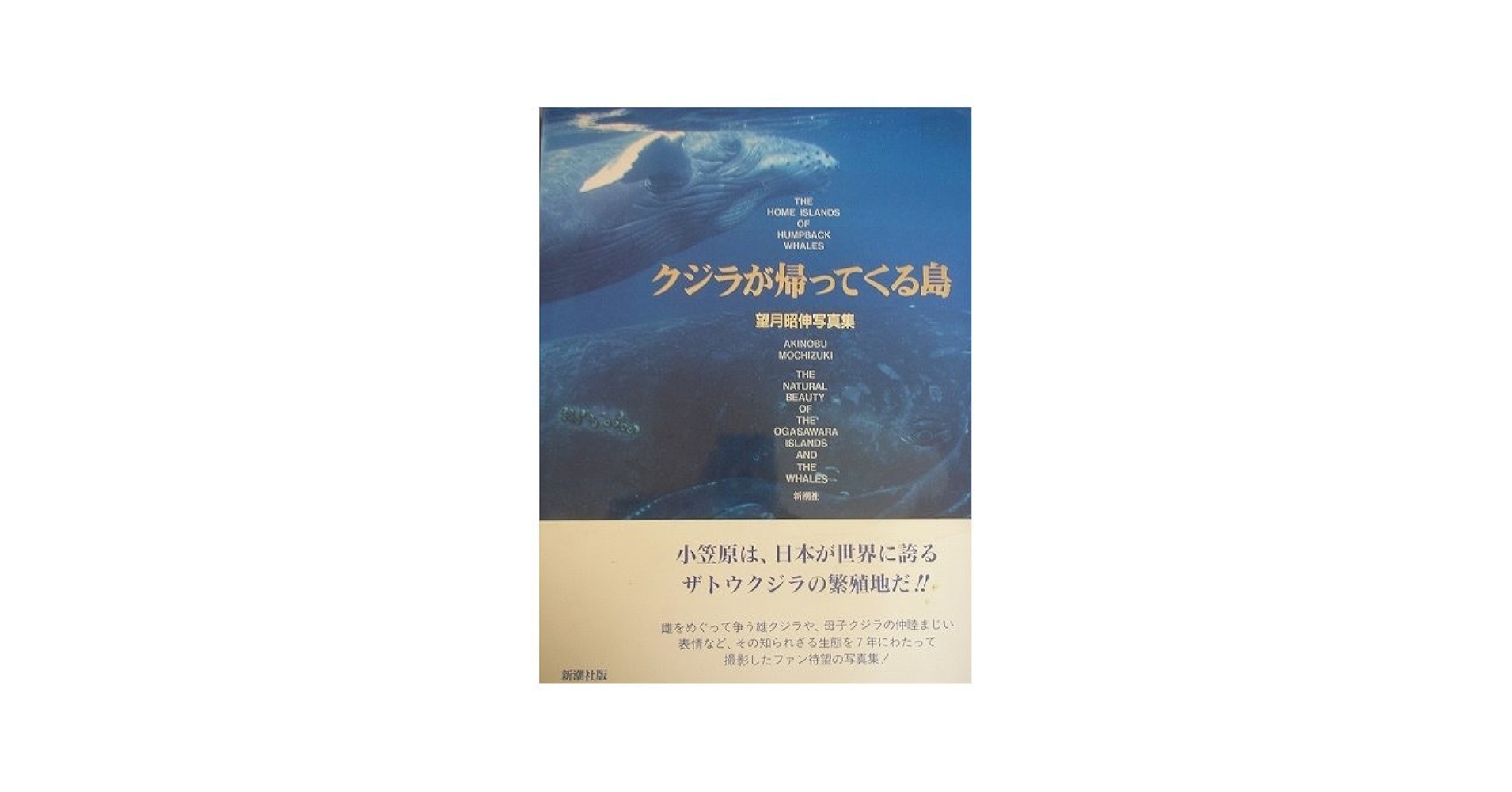 クジラが帰ってくる島: 望月昭伸写真集 | 望月 昭伸 |本 | 通販