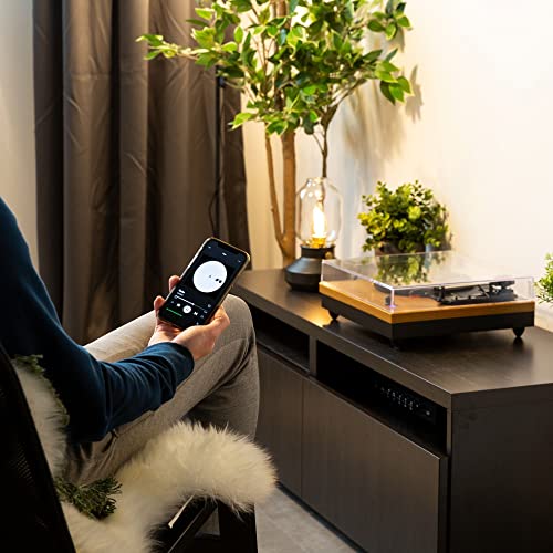 Fenton RP112L Platine Vinyle Bluetooth à 3 Vitesses – Bois Clair, Tourne Disque avec Haut-parleurs intégrés, adaptée… - Les Beatles, Paul McCartney, John Lennon, RIngo Starr, George Harrison Fenton RP112L Platine Vinyle Bluetooth à 3 Vitesses - Bois Clair, Tourne Disque avec Haut-parleurs intégrés, adaptée… – Image 5