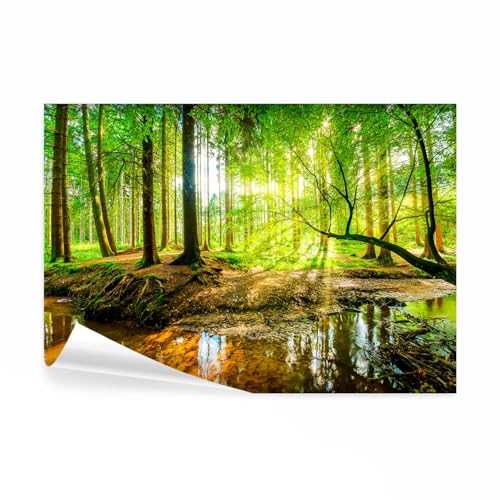 decomonkey - Papier Peint Panoramique Foret Nature 400x280 cm - Décoration murale moderne – Tapisserie décorative pour chambre salon - Lueur arbres paysage...
