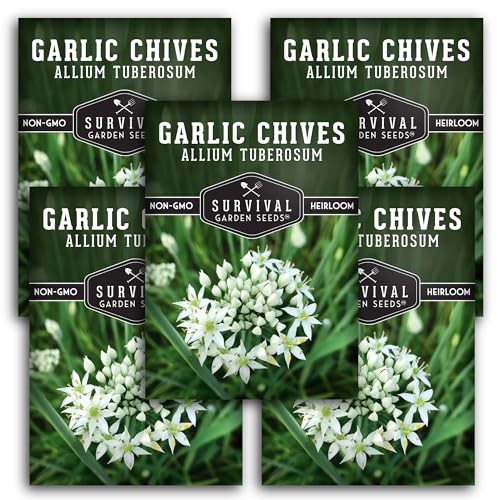 Survival Garden Seeds 5 Packs Garlic Chives Seed for Planting - Packet with Instructions to Grow Delicious Perennial Herbs in Your Home Vegetable Garden - Non-GMO Heirloom