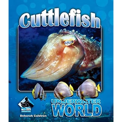 Cuttlefish