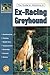 Guide to Adopting an Ex-Racing Greyhound: History, Training, Grooming, Health, Feeding, Temperament