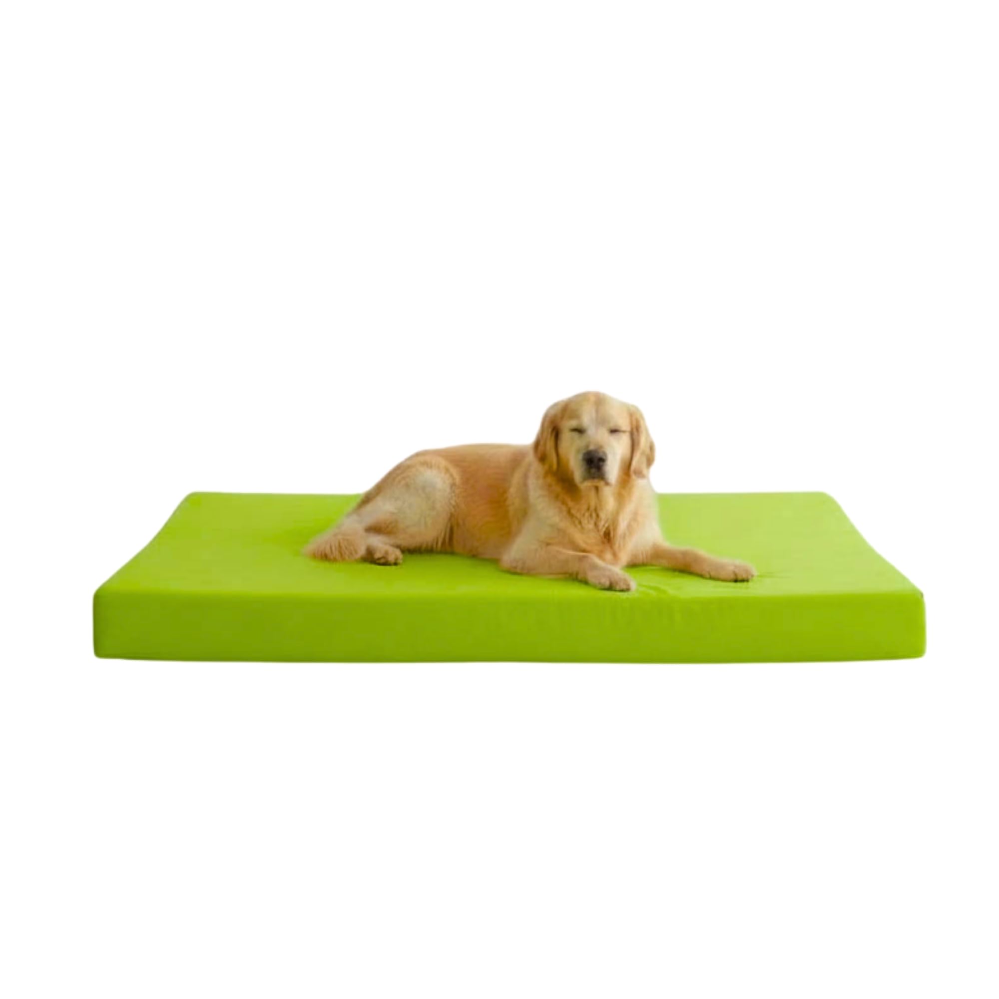 Kosiproducts Waterproof Dog Bed Mattress, Foam, 190gsm Soft Polyester, Cage Crate Mat, Pet Bed, Removable and Washable Cover [120cm x 90cm x 10cm, Lime Green]