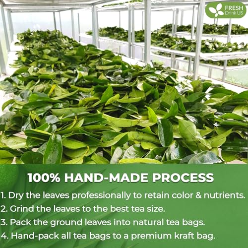 FreshDrinkUS, Premium 33 Soursop Graviola Leaf Tea Bags, 100% Natural & Pure from Soursop Leaves, Hoja Guanabana Herbal Tea. Made with Natural Material Tea Bags. No Sugar, No Caffeine, Vegan.