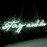 Stay Awhile Neon Signs - IMEGINA Dimmable LED Neon Sign for Wall Decor 19.7x5 Inch, USB Powered Neon Light for Bar Bedroom Home Room Pub Party (White)