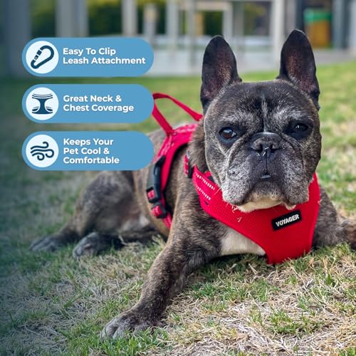 Image of Best Pet Supplies Voyager Adjustable Step-in Flex Breathable Mesh Dog Harness for Small Medium Large Dogs Leash Set (Red), XS