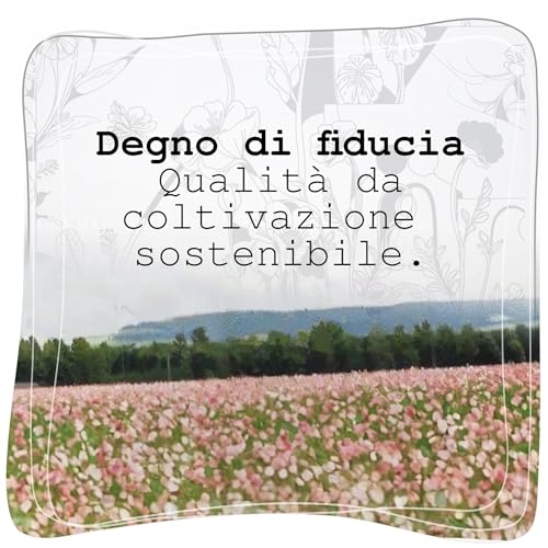 MyPoppies - Capsule di Papavero, Poppy Pods |