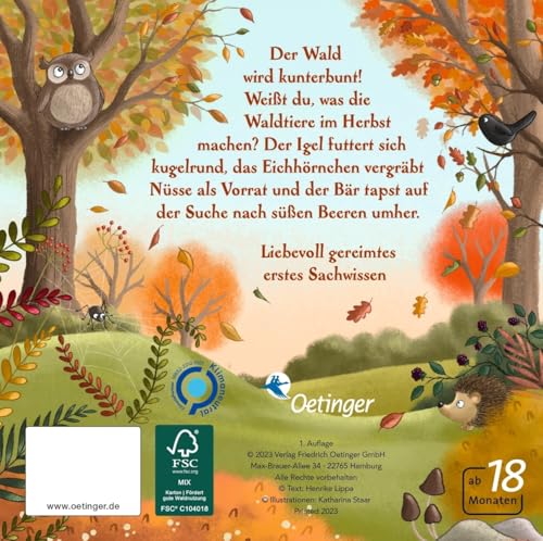 Es wird Herbst hier im Wald: Allererstes Wissen über die Jahreszeiten für Kinder ab 18 Monaten