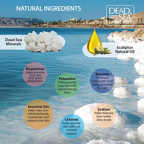 Dead Sea Collection Salt Body Scrub - Large 23.28 Oz - With Eucalyptus - Exfoliating Effect - Includes Organic Essential Oils And Natural Dead Sea Minerals #TOP1