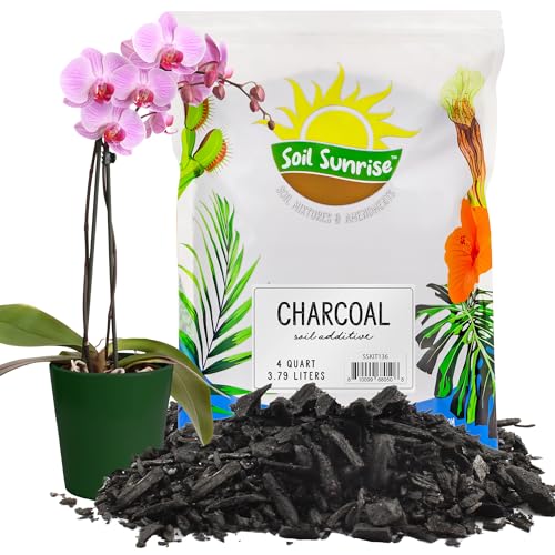 Soil Sunrise Horticultural Charcoal for Indoor Plants (4 Quarts) Hardwood Soil Additive for Orchids, Terrariums, and Gardening