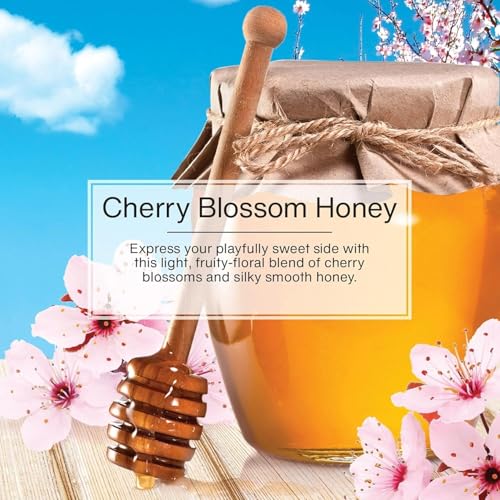 Image of LITTLE TREES Car Air Freshener | Hanging Paper Tree for Home or Car | Cherry Blossom Honey | 12 Pack