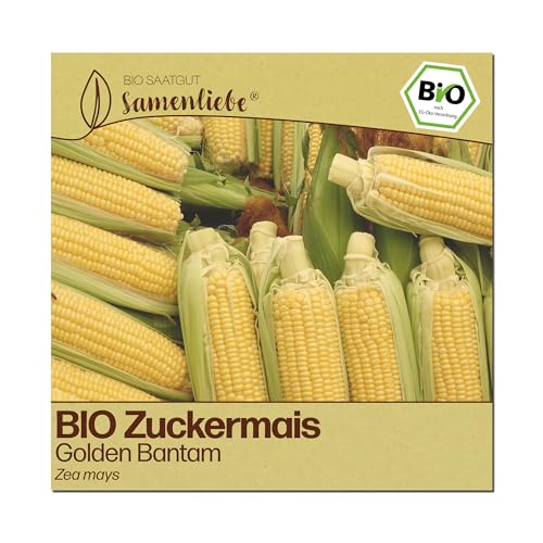 Samenliebe BIO Zuckermais Samen | Mais Golden Bantam - süß - samenfestes BIO Saatgut