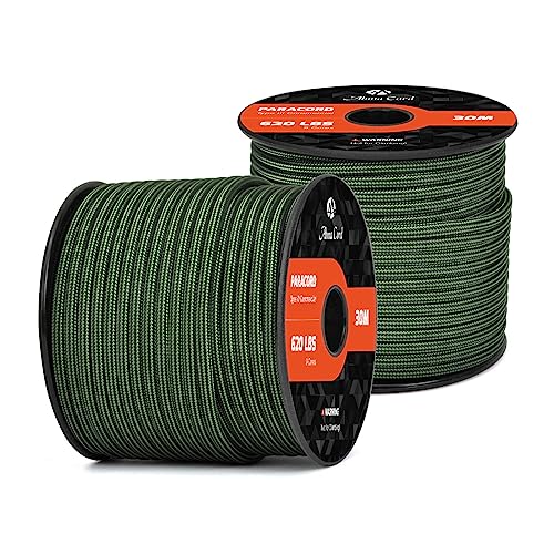 Abma Cord Paracord 620 lbs 4mm 9 Strands 100% Nylon 30M - Forest Green & Black, Stripes-forest Green & Black, 30 Meters