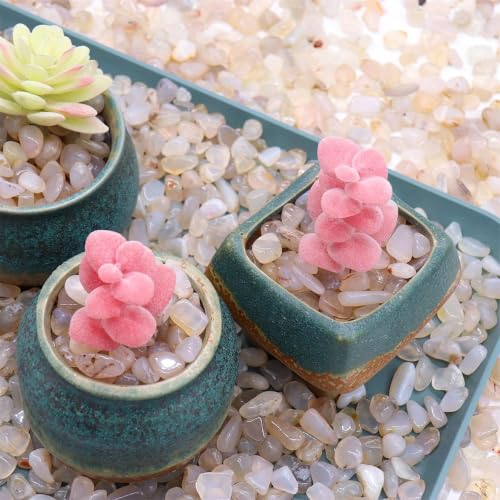 Image of WAYBER Natural Tumbled Agate Quartz Decorative Pebbles, 1 Lb Off-White | Lustrous Polished Finish, Rich Long-Lasting Hues, Toxin-Free Material, Perfect for DIY Crafts & Home Decor