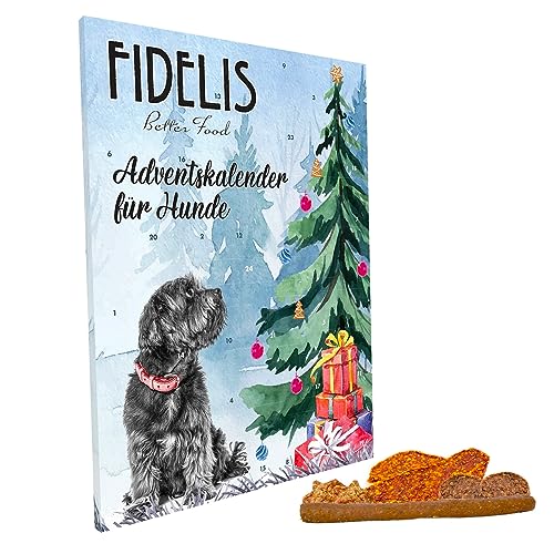 Fidelis - XL-Adventskalender für Hunde Hundebesitzer mit 50 gesunde Snacks