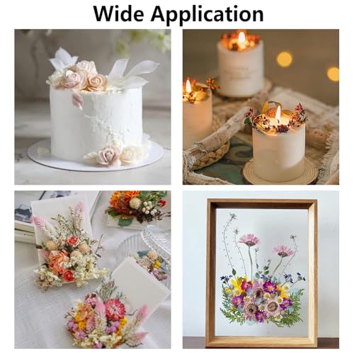 10 Stück Kleine Trockenblumensträuße Mini Trockenblumenstrauß Natürliche Trockenblumen Deko Strohblumen Getrocknet Set Kleine Trockenblumen für DIY Bastel Tagebuch und Fotoalbum Dekoration