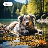 Pets Care Records