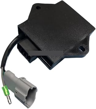 Buyang Feis FA D300 G300 H300 300CC ATV Quad CDI BOX TCI 5.3.01.0220 Fit For 300 ATV Parts