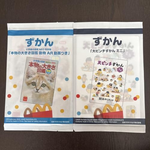 大ピンチずかん（小学生向け）