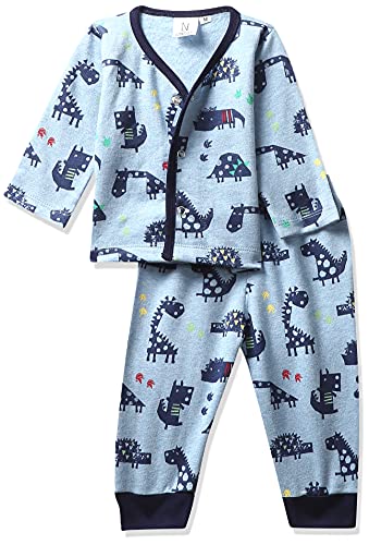 Longies Unisex-Baby Infant Winter Night Suit Front Open Full Sleeves Single Pajama Set (LIWNSS001_Light Blue001_3-6 Months)