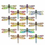 Anti-Collision Window Clings to Prevent Bird Strikes on Window Glass - Dragonfly Window Clings (Set of 8)