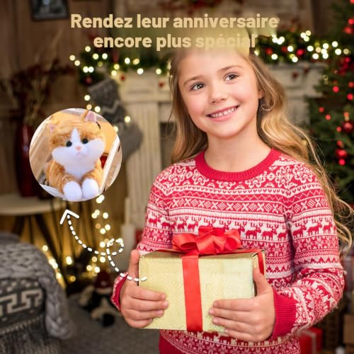 Oreiller en peluche douce orange forme chat lesté pour esthétique salon
