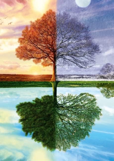 Schmidt Seasons Jigsaw Puzzle