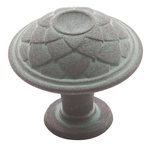 Amerock BP53027VS Padma 1-5/16 in (33 mm) Diameter Viridian Slate