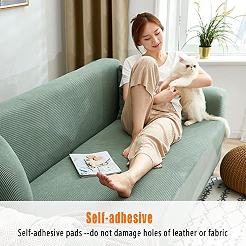 Set protezione antigraffio, mobili antigraffio per...