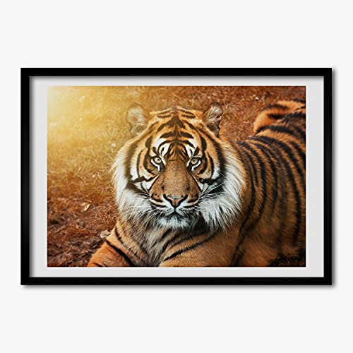Tableau décoratif Tulup avec cadre en bois moderne et affiche Tigre du Bengale