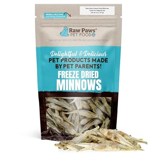 Raw Paws Pet Freeze Dried Minnows for Dogs & Cats, 2-oz - USA Fish Dog Treats - All Natural, Single Ingredient Minnow Cat Treats - Raw Freeze Dried Dog Snacks - Grain Free Cat Reward