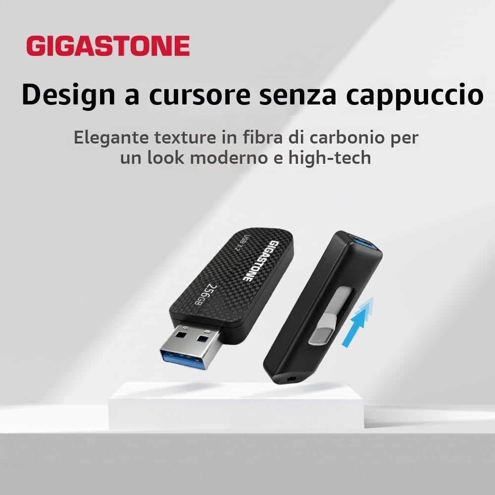 Gigastone Chiavetta USB 256 GB, Z30 USB 3.2 Gen 1 Professional Serie, Senza cappuccio con design retrattile, compatibile con interfaccia USB 2.0 / USB 3.0 / USB 3.1
