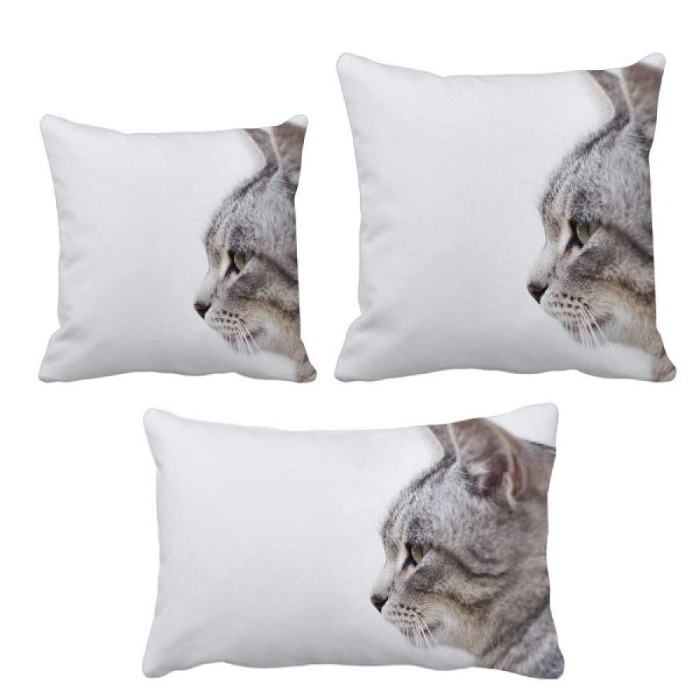 Housse de coussin chat Simpol DIYthinker douceur et confort pour la maison