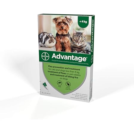 Advantage Spot On Flea Treatment 40 Small Cats Dogs And Rabbits 4 Pipettes Amazon Co Uk Pet Supplies