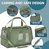 Petsfit Transportbox Katze Hund faltbar Transporttasche Hundetasche für Katzen Hunde, Hochwertige Tragetasche Hund Katze mit Schultergurt und weiches expandierbare Kissen,groß