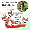 JIM HODGES DOG TRAINING Martingale Collar for Dogs, Biothane, Stainless Steel Hardware, No Pull, Made in The USA, Professional Grade, Medium, Orange #4