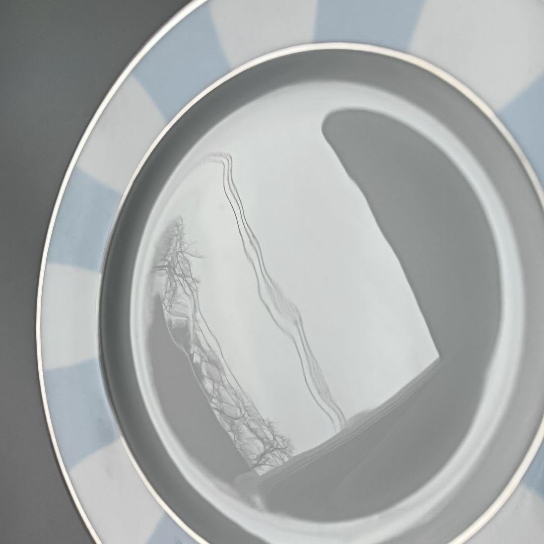 ベルナルドギャラリーロワイヤルスカイブルー21cmプレートペアセット